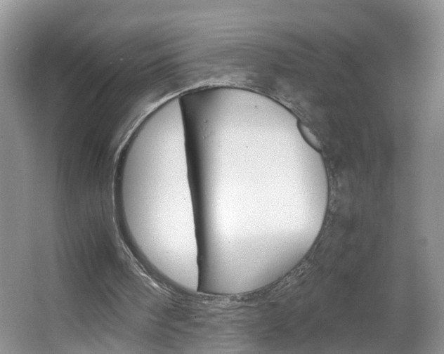 X0000067460098200604070937