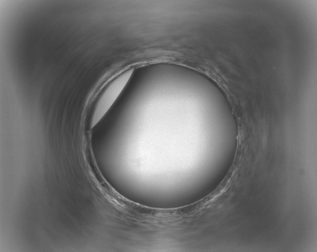 X0000067460101200604070937