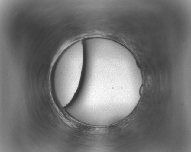 X0000067460102200604070937