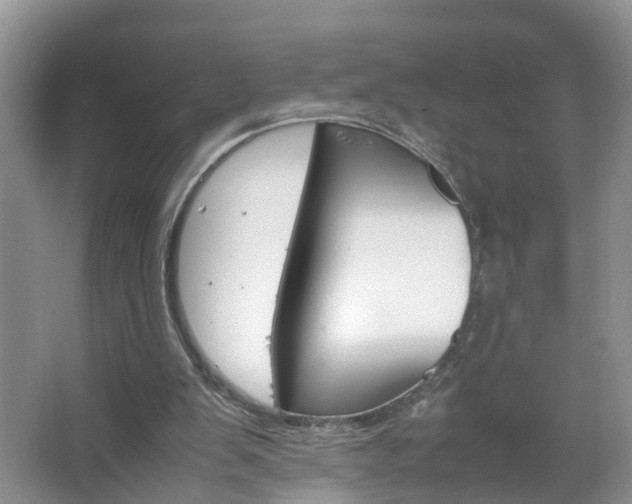 X0000067460103200604070937