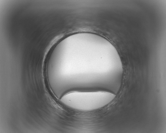 X0000067460104200604070937