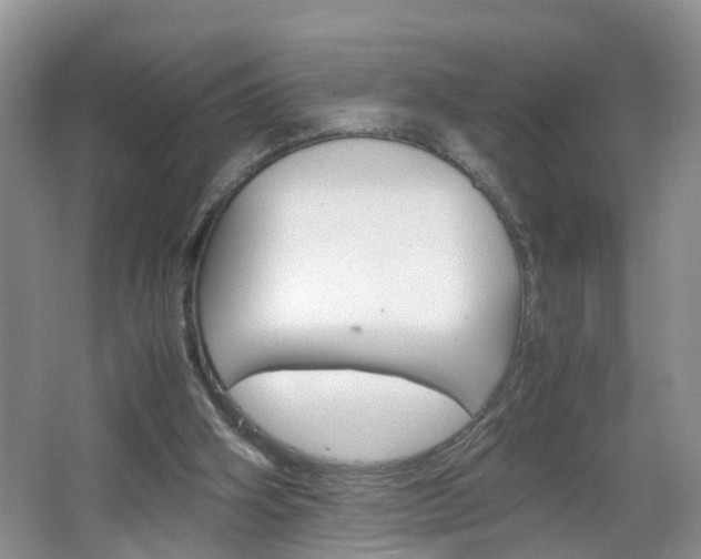 X0000067460106200604070937