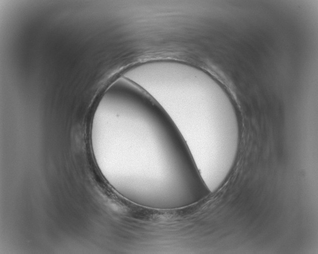 X0000067460107200604070937