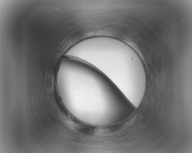 X0000067460109200604070937