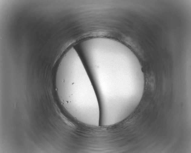 X0000067460110200604070937