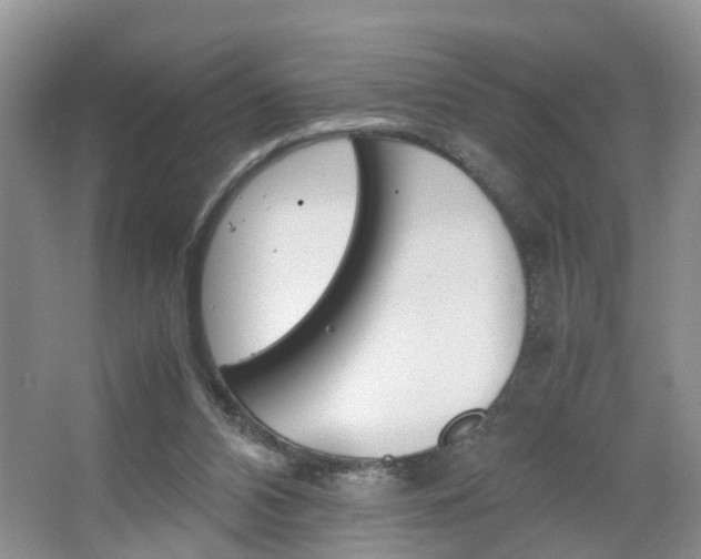 X0000067460112200604070937