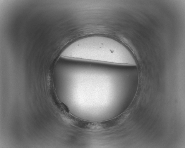 X0000067460113200604070937