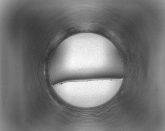 X0000067460115200604070937