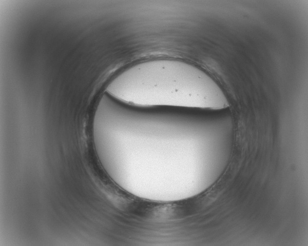 X0000067460116200604070937