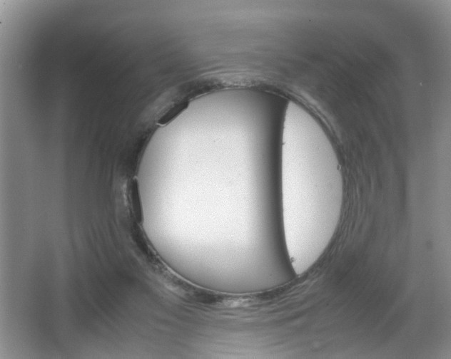 X0000067460117200604070937