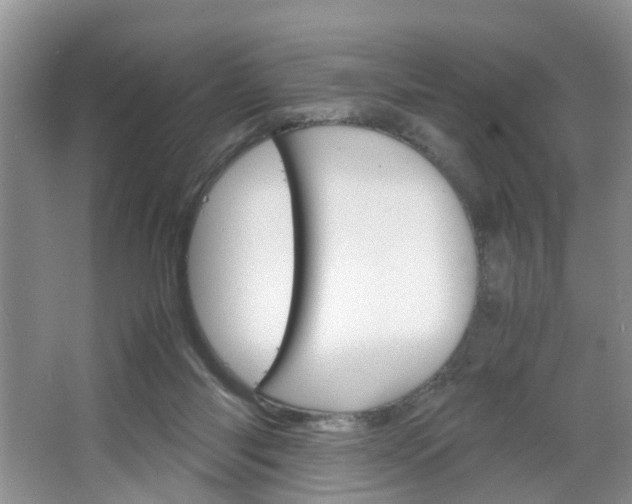 X0000067460118200604070937