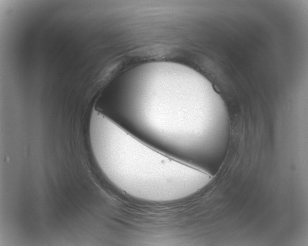 X0000067460119200604070937