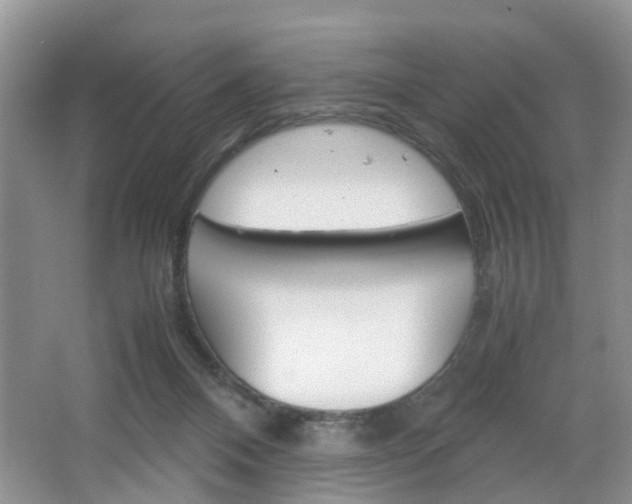 X0000067460120200604070937