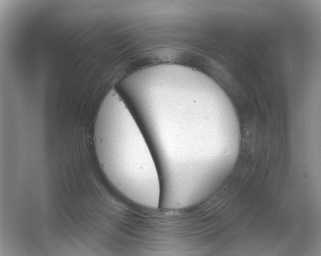 X0000067460122200604070937