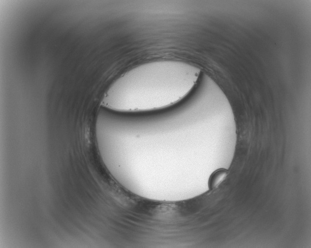 X0000067460124200604070937