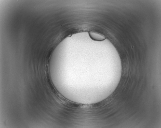 X0000067460126200604070937