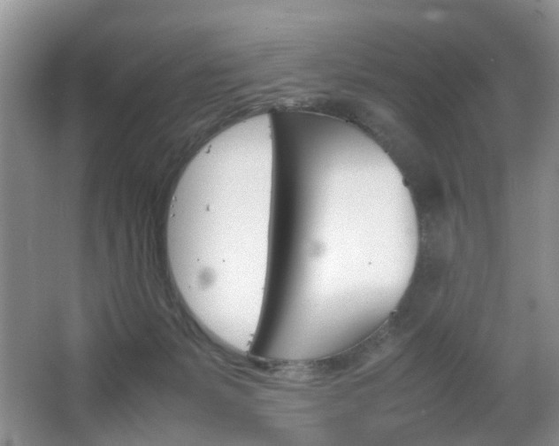 X0000067460127200604070936