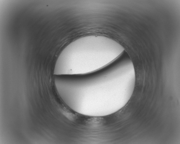 X0000067460128200604070936