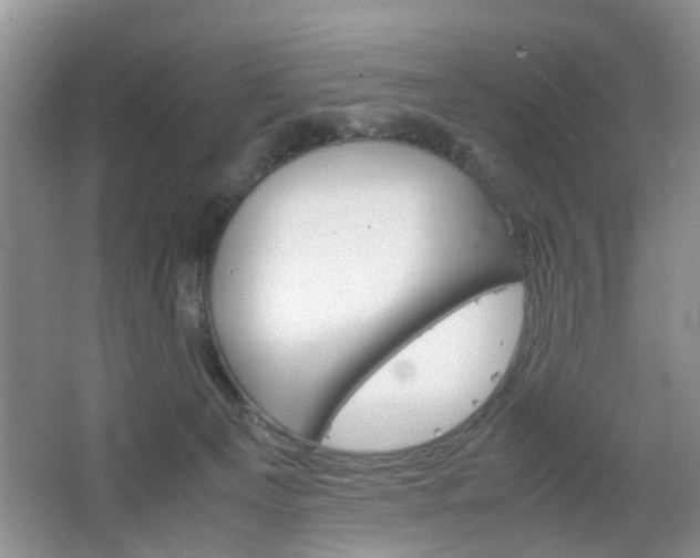 X0000067460129200604070936