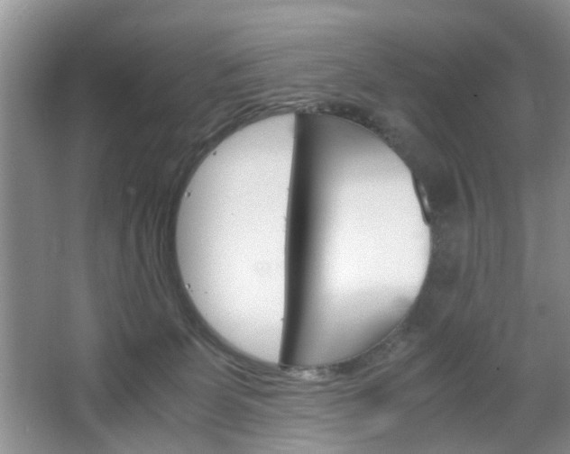 X0000067460131200604070936