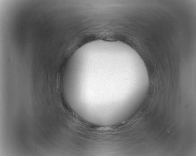 X0000067460133200604070936