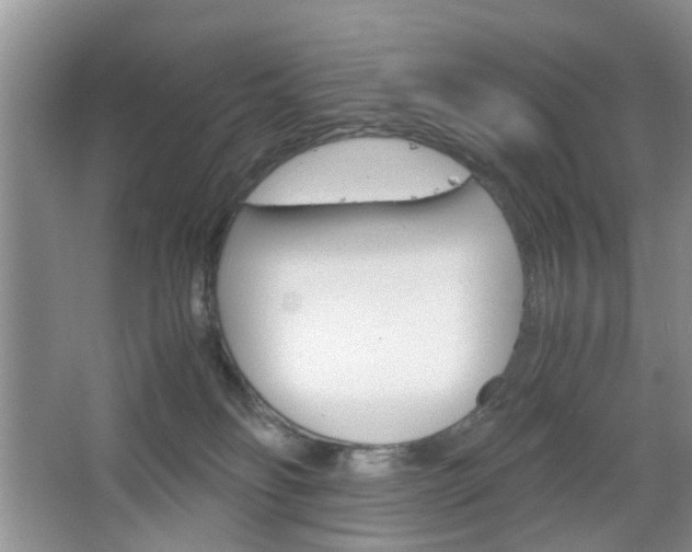 X0000067460134200604070936