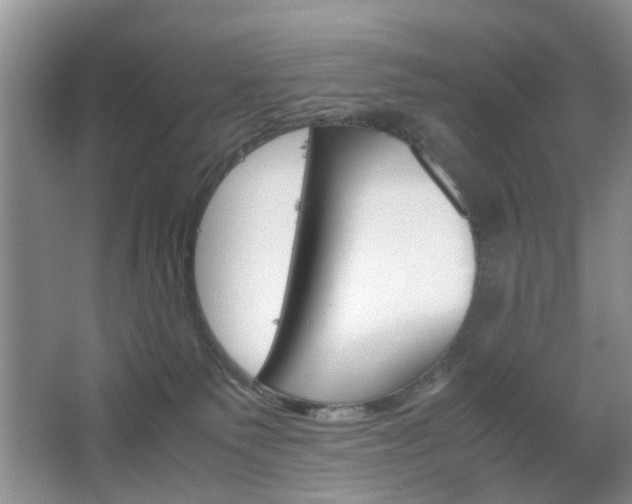 X0000067460135200604070936