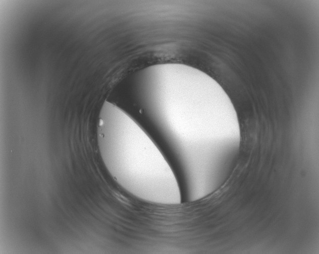 X0000067460136200604070936