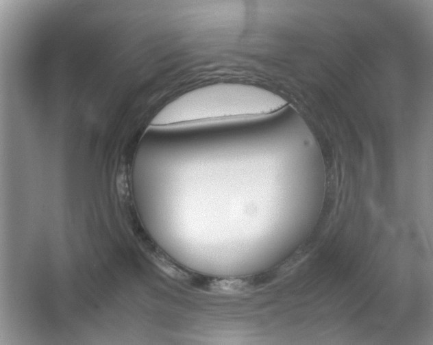 X0000067460137200604070936