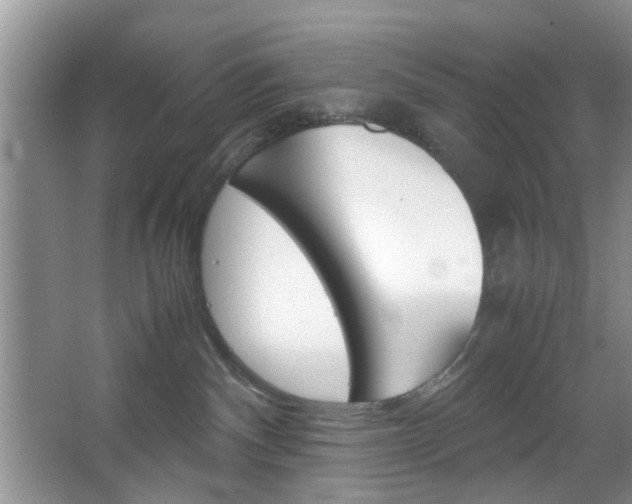 X0000067460140200604070936