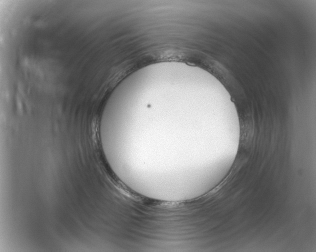 X0000067460142200604070936