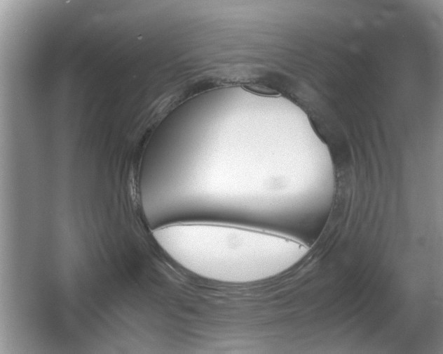 X0000067460143200604070936