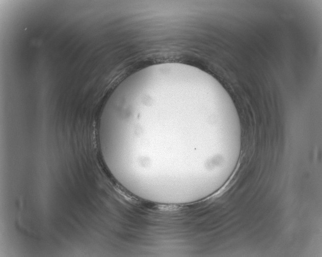 X0000067460144200604070936