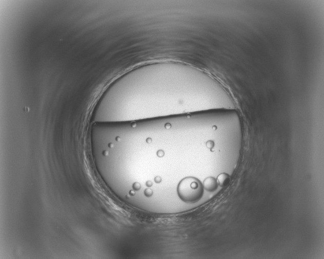 X0000067460145200604070935