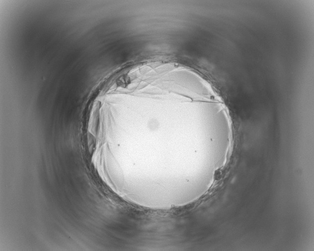 X0000067460146200604070935