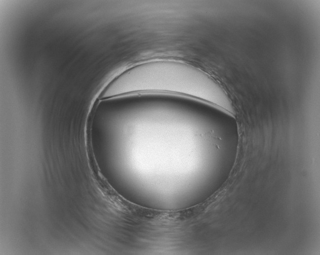 X0000067460148200604070935