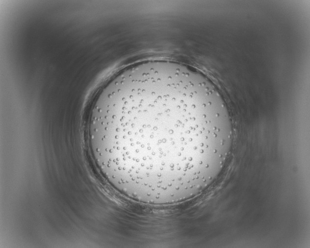 X0000067460149200604070935