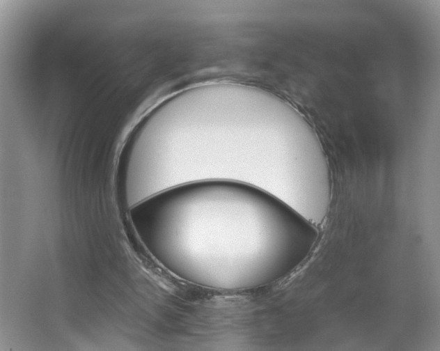 X0000067460150200604070935