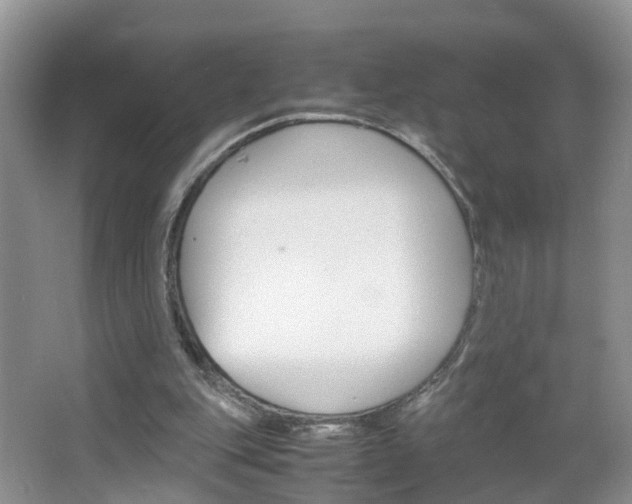 X0000067460151200604070935