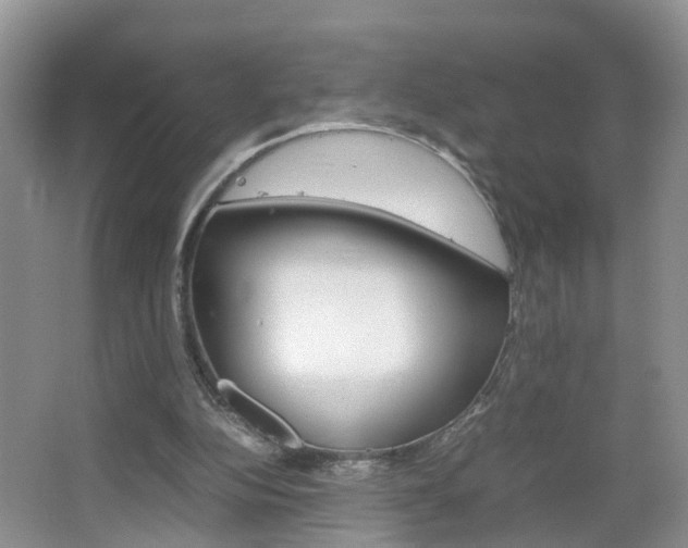 X0000067460152200604070936