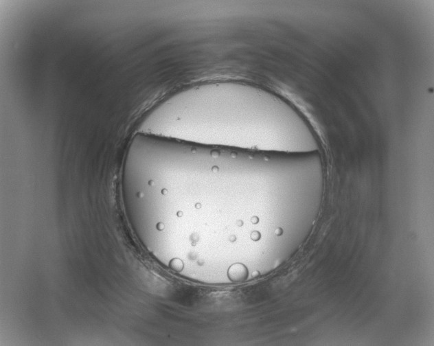 X0000067460153200604070936