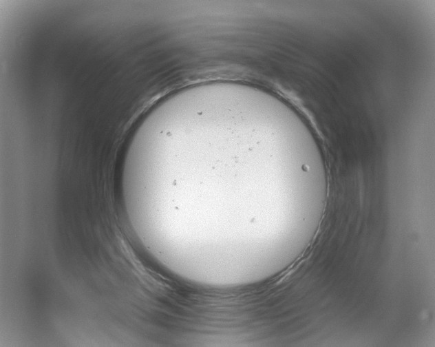 X0000067460154200604070936