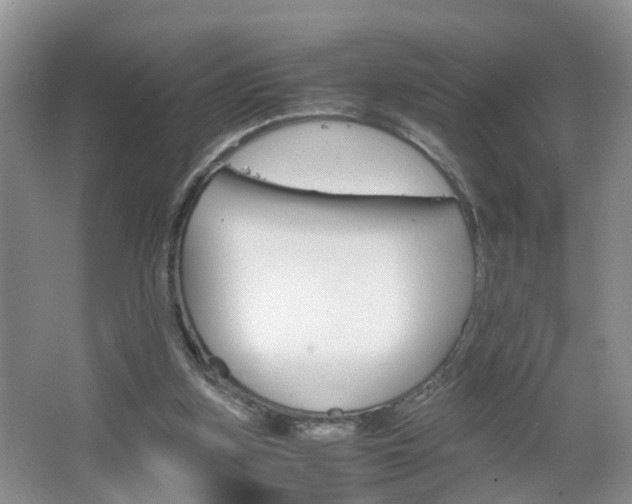 X0000067460155200604070936