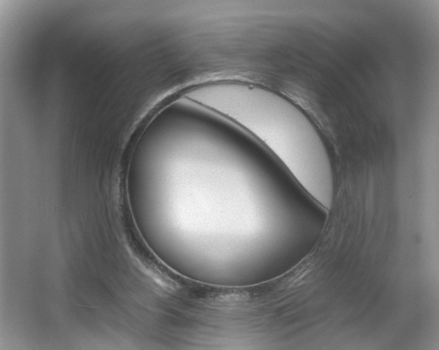 X0000067460156200604070936