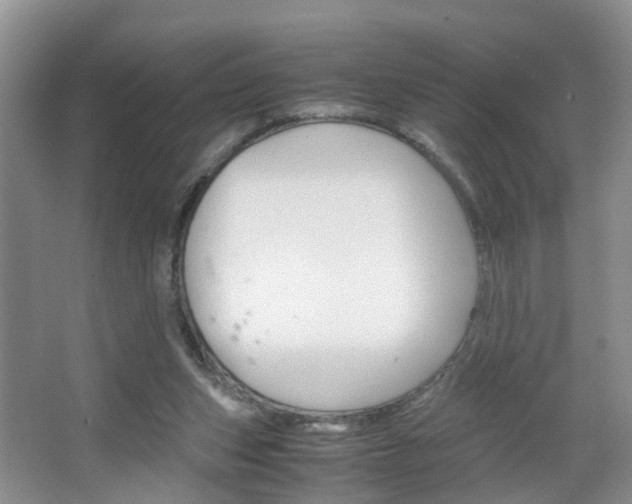 X0000067460159200604070936