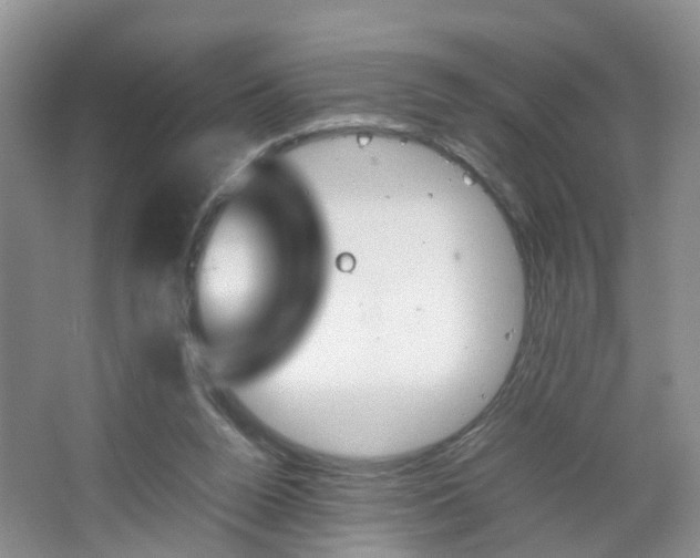 X0000067460160200604070936