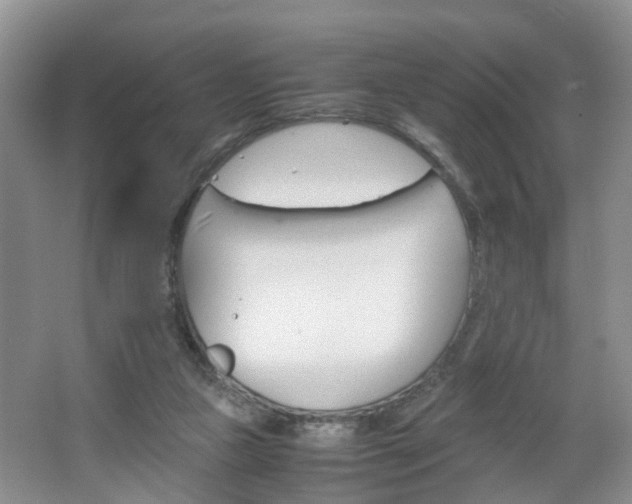 X0000067460161200604070936