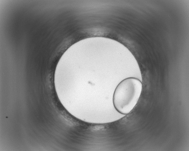 X0000067460162200604070936