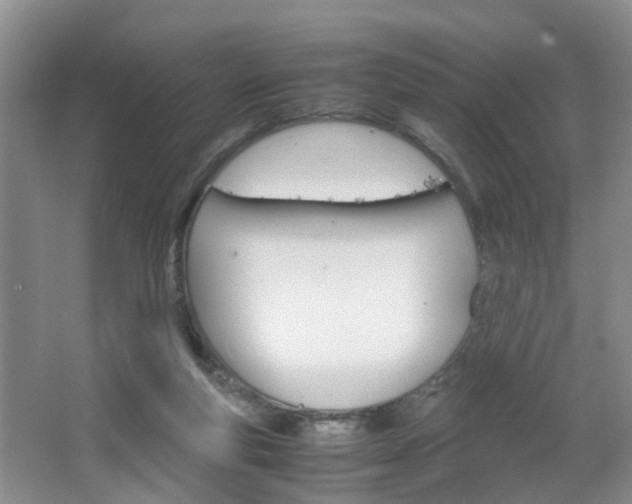 X0000067460163200604070936