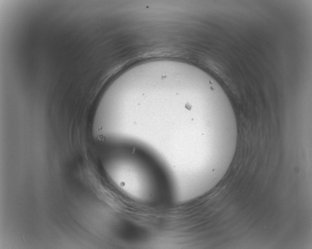 X0000067460164200604070936